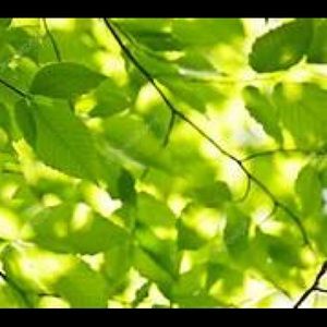 No reasonable offer will be refused! ❤️Send yours!